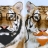 The Civilized Tigers